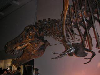a0018200_104076.jpg