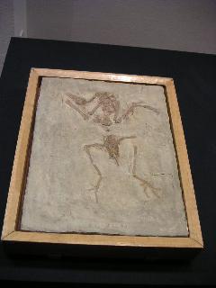 a0018200_1075642.jpg