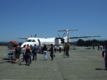 c0062603_8583864.jpg