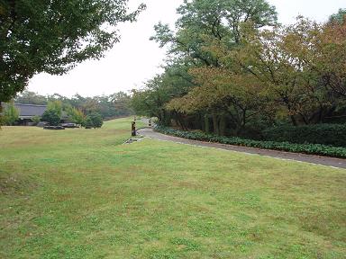 e0030606_618345.jpg