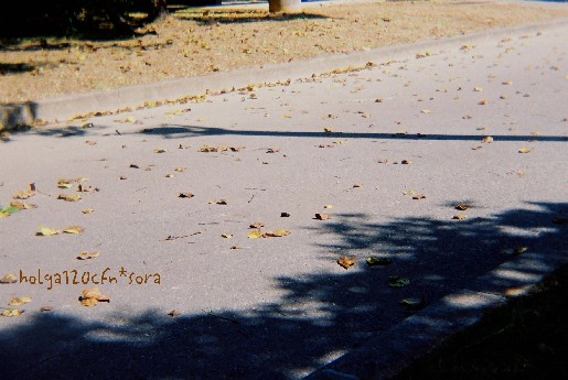 b0026610_1831671.jpg