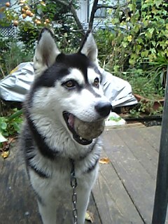 c0075010_0221098.jpg
