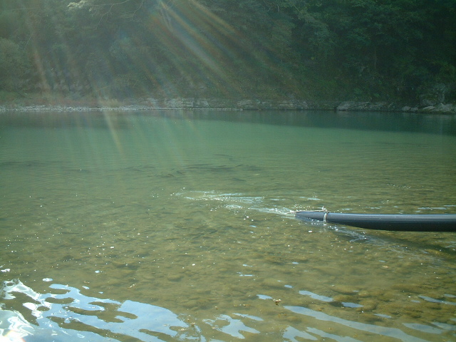b0054622_22104264.jpg