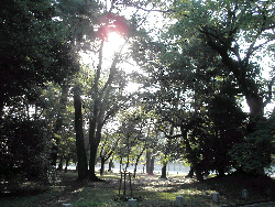 d0002224_20552210.jpg