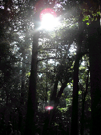 d0002224_21113385.jpg