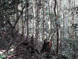 d0002224_21132868.jpg