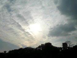 d0002224_22373937.jpg