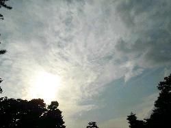 d0002224_22381259.jpg