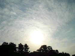 d0002224_2238346.jpg