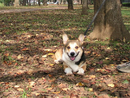 e0071225_22483020.jpg