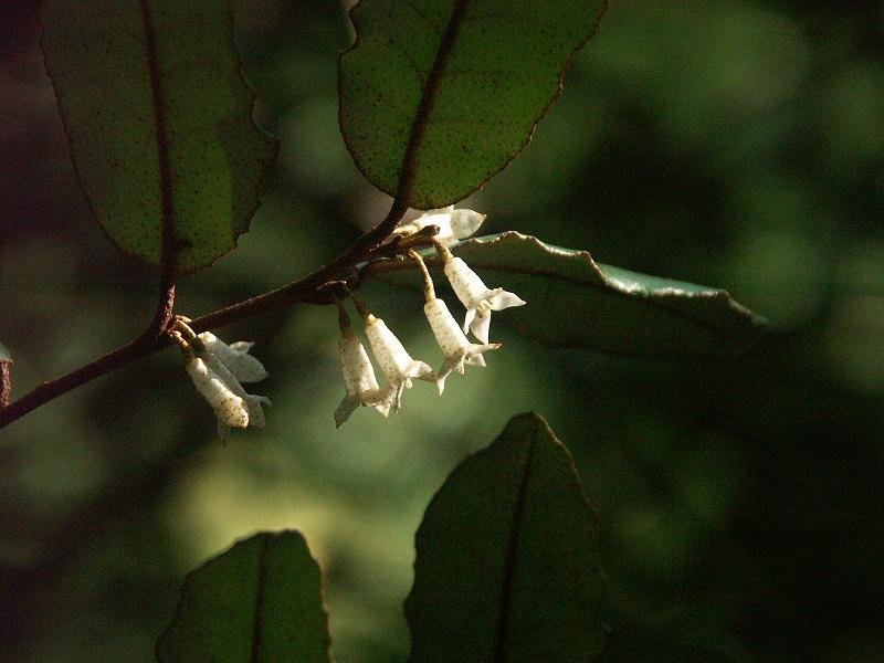 b0039226_9391753.jpg