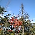 c0035230_20372456.jpg