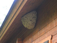 c0024135_0481557.jpg