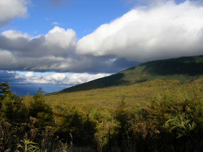 c0024135_1362321.jpg