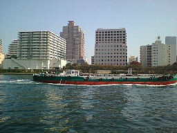 b0029438_17443.jpg