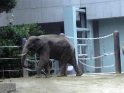 e0039443_17405021.jpg
