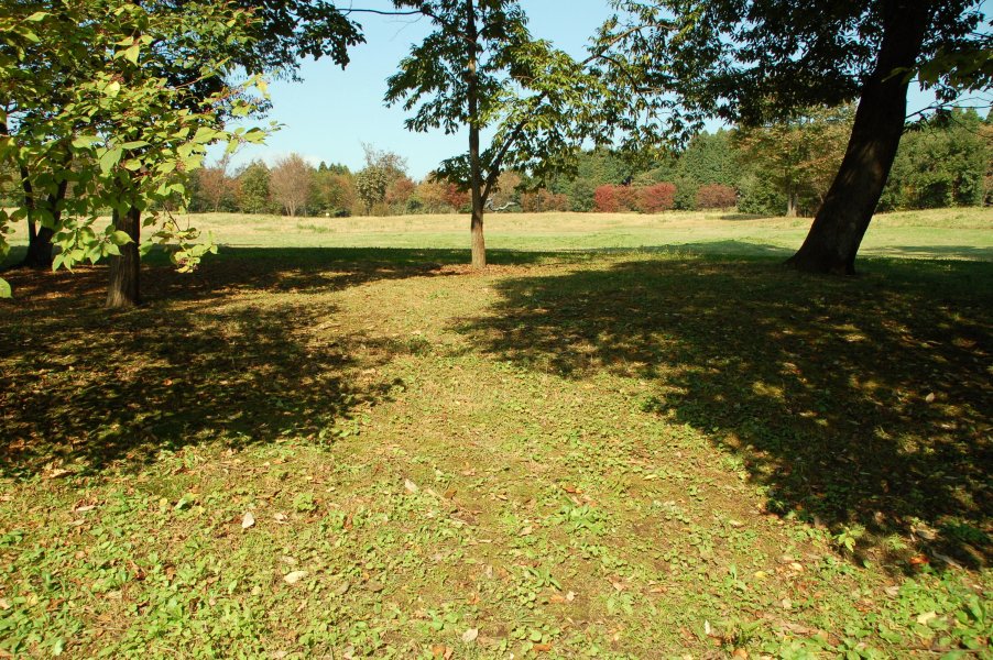 e0009147_1713698.jpg