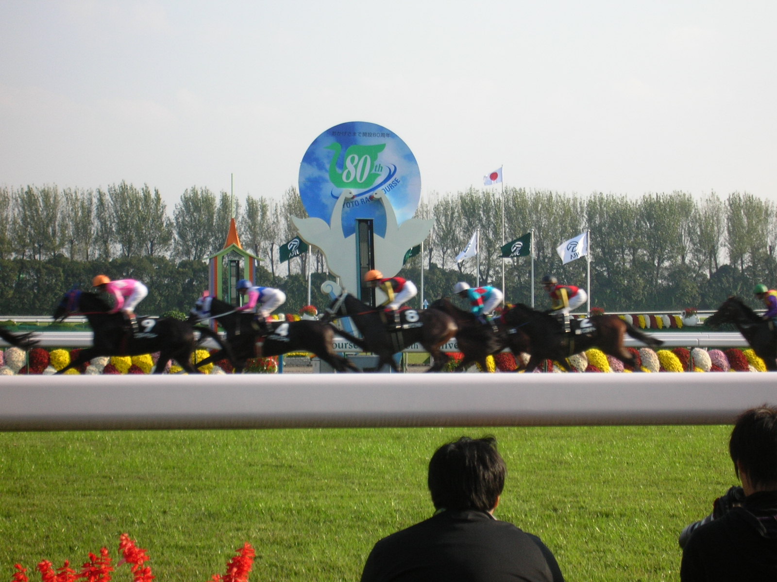 a0044551_11333387.jpg