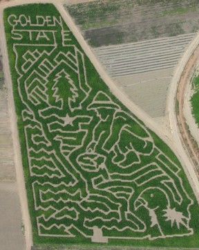 b0033458_34205.jpg