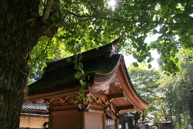 b0055171_22122130.jpg
