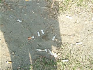e0066772_1628156.jpg