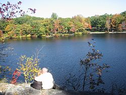 b0043974_7253240.jpg