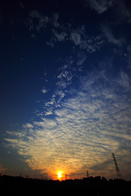 c0030874_18494278.jpg