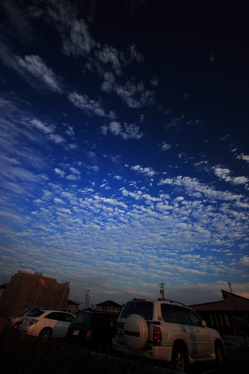c0030874_1850774.jpg