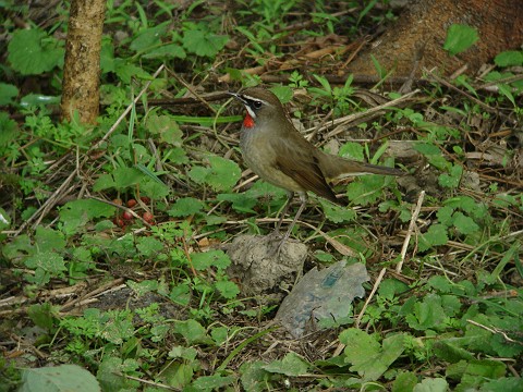 a0052080_22143760.jpg
