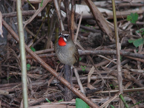 a0052080_2274186.jpg