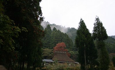 e0024081_822260.jpg