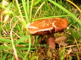 b0042882_2201067.jpg