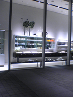 e0030085_219839.jpg