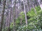 a0004391_20172914.jpg