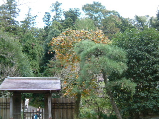 a0042295_2229504.jpg