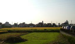 d0047297_23553249.jpg