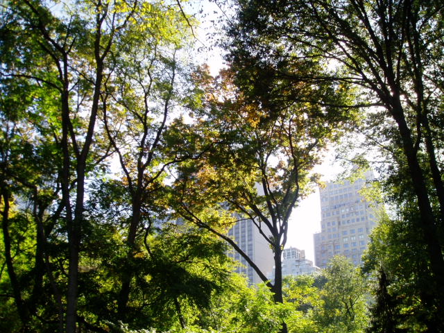 c0037103_14193780.jpg