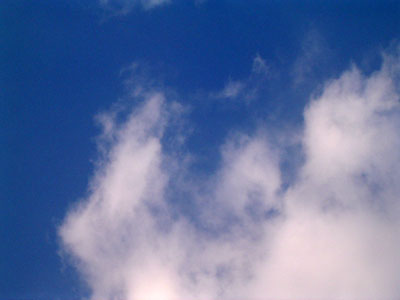 c0011204_0281949.jpg