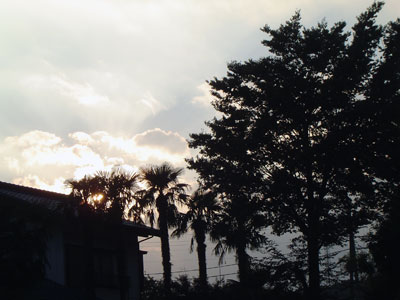 c0011204_028610.jpg