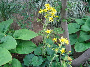 e0076814_2357091.jpg