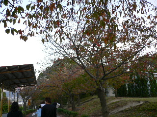 c0047221_211592.jpg