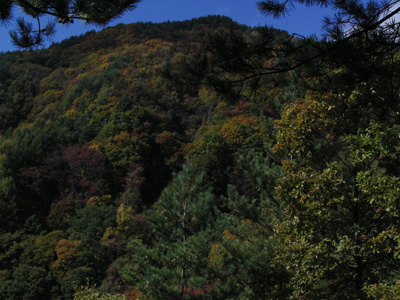a0049226_9222125.jpg