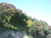 e0062530_15464153.jpg