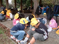 e0069234_865296.jpg