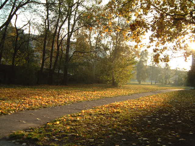 d0024140_55921.jpg