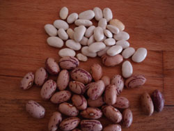 c0068149_5491080.jpg