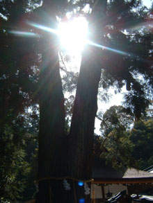 c0068250_22253437.jpg