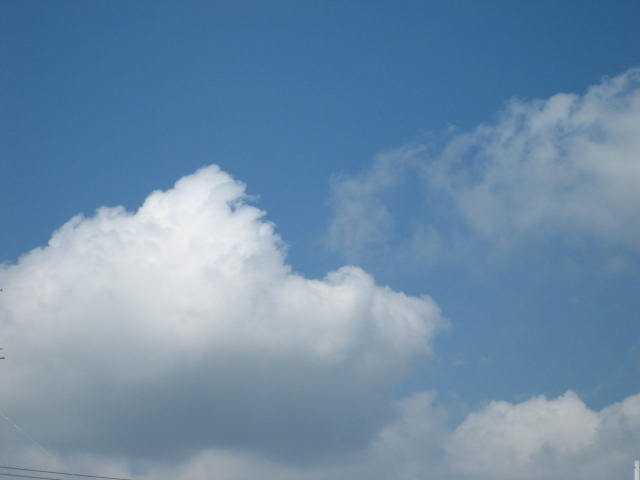 a0017660_1927850.jpg