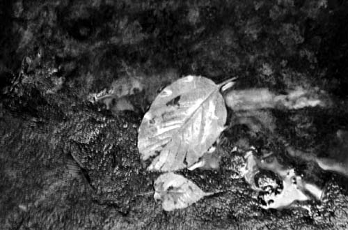 d0039162_22294029.jpg