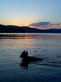 b0062363_1802568.jpg
